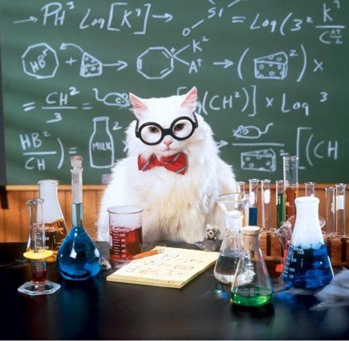Cat in a Lab