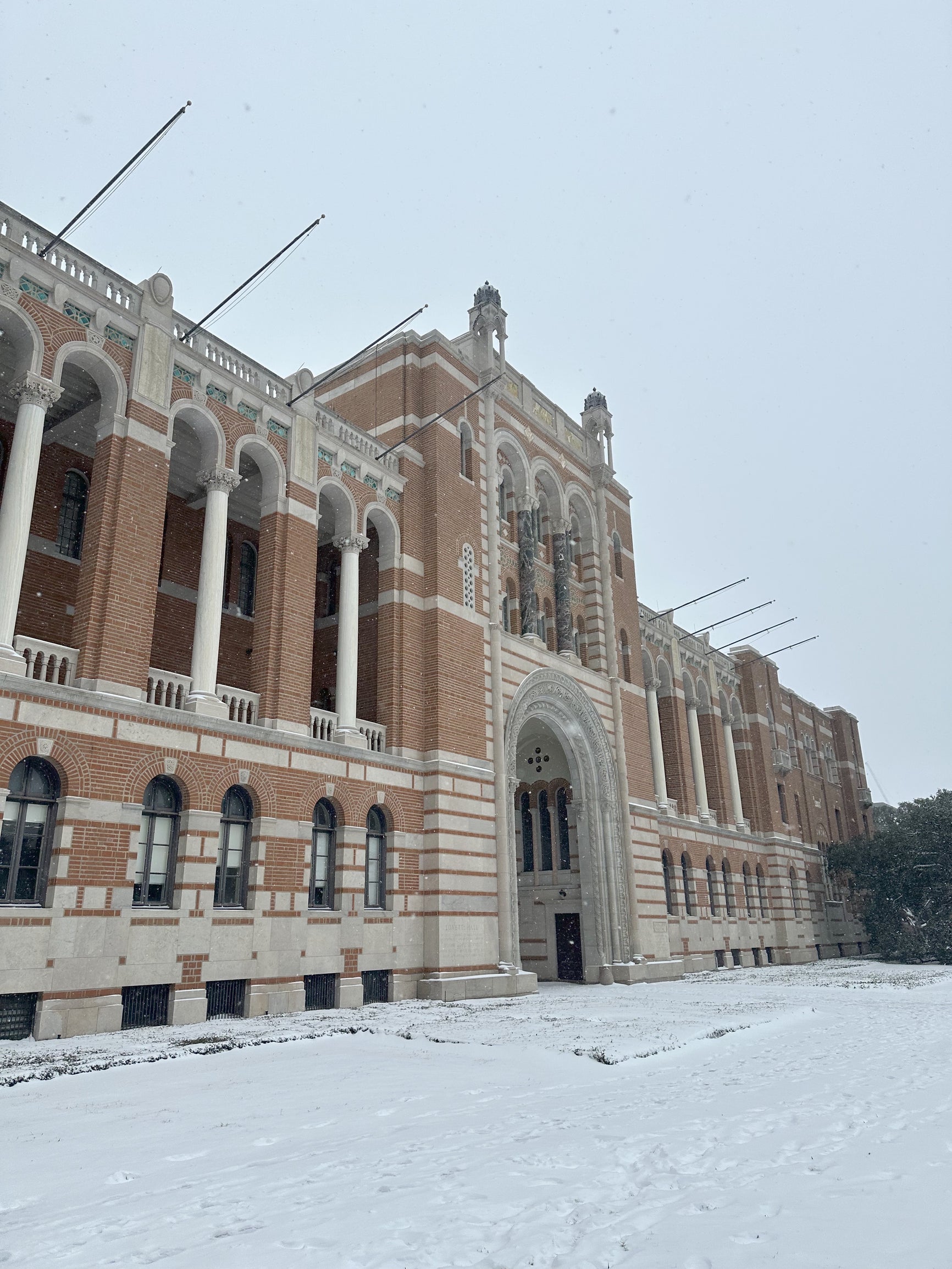 Snow day on Rice's campus