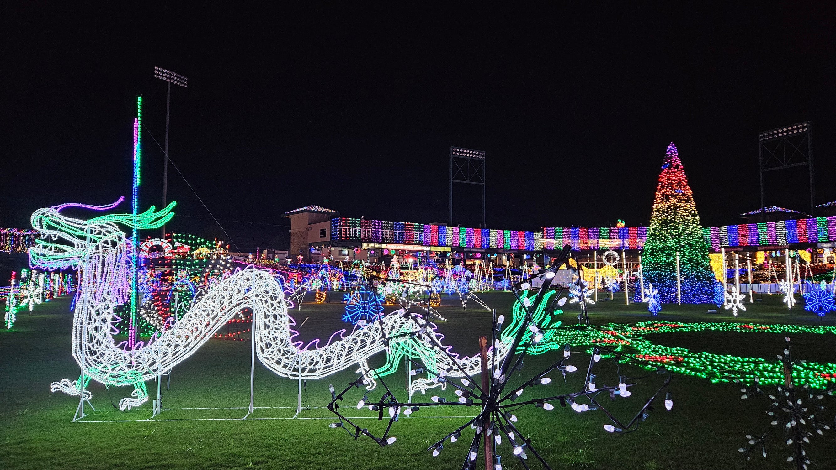 Houston Zoo Lights