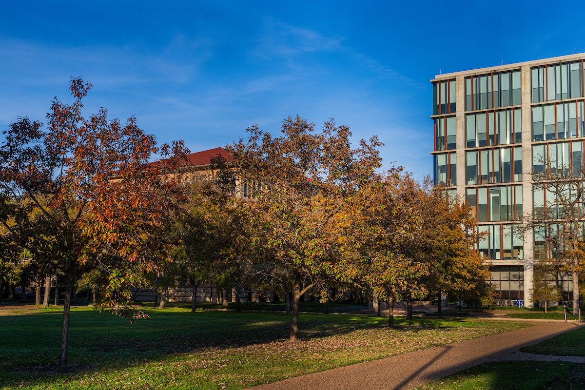 Fall foliage on the Rice University campus. Photo by Sebastian Berrios Carvajal