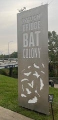 Bats