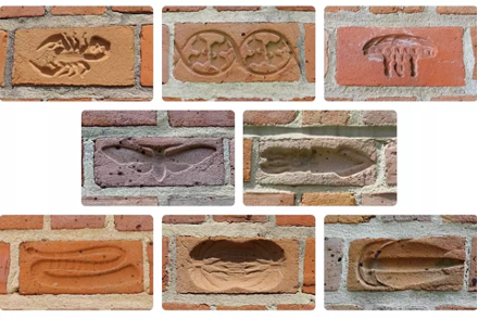 Biology Bricks on Anderson Biological Laboratories