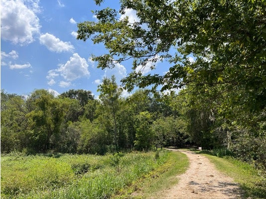 Brazos Bend Trails