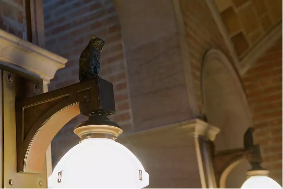 Bronze Owls (Herzstein Hall)