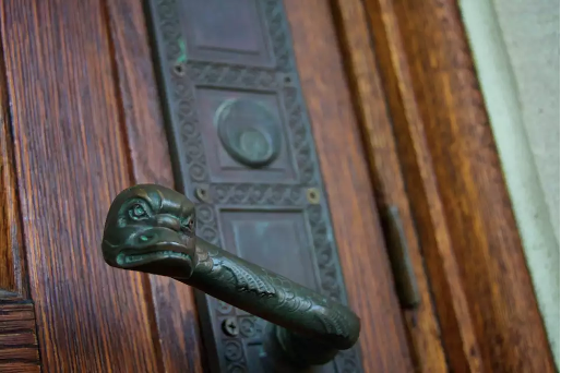 Angry Dolphins Door Handles