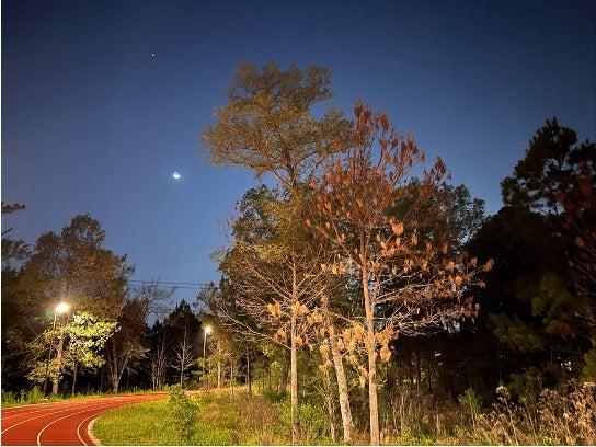 Memorial Park Track