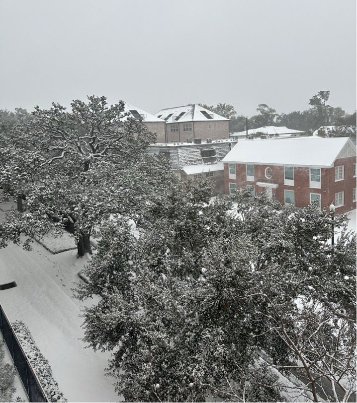 Rice covered in Snow