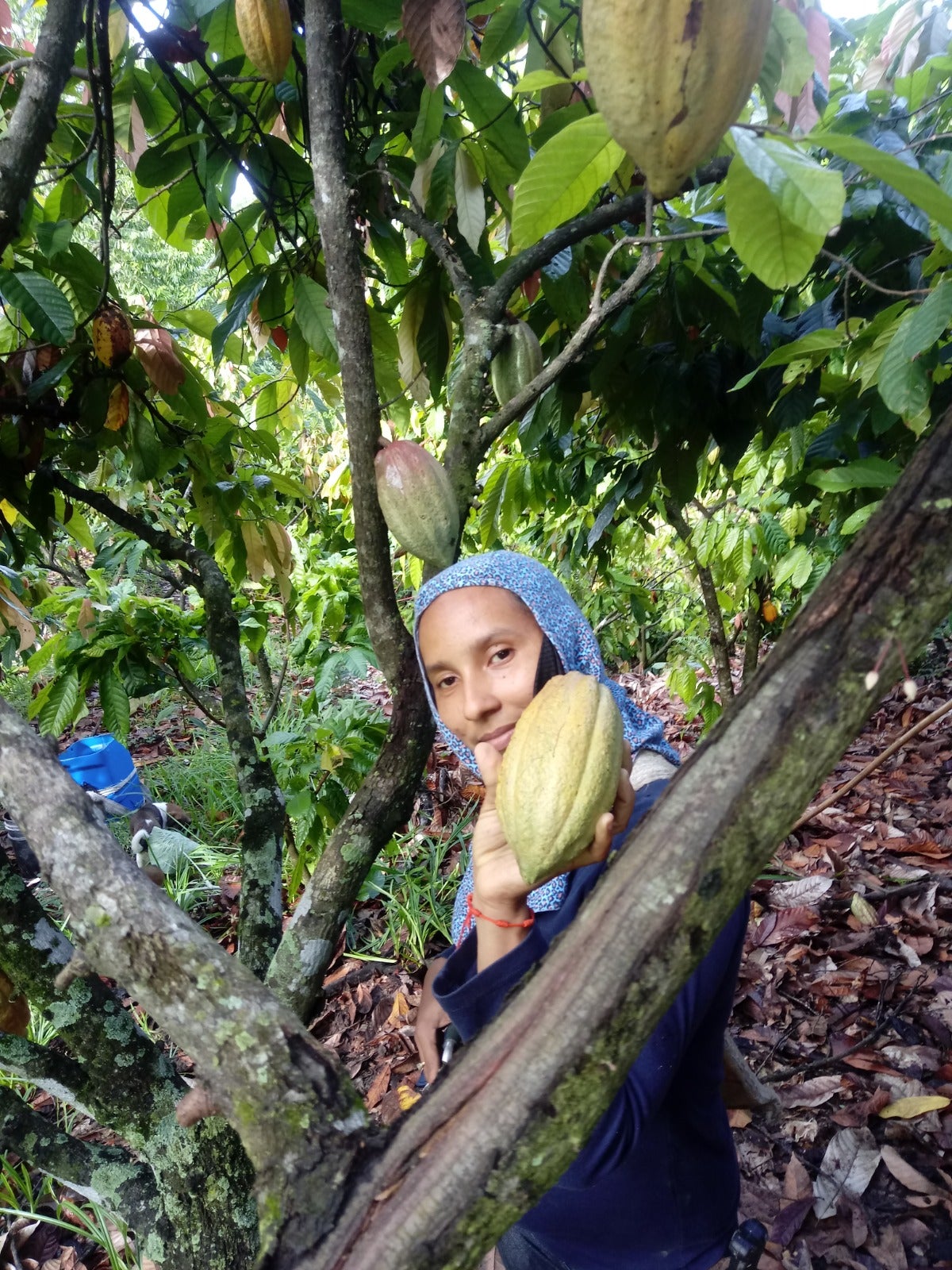 Marcela con un fruto de cacao. Foto por Diego Marín