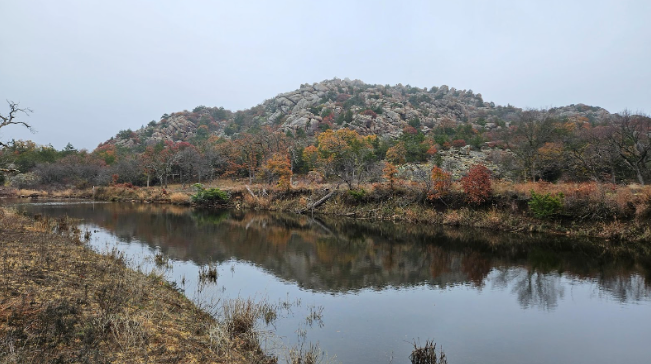 (View along a trail)