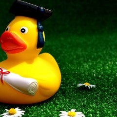 Rubber duck wearing a graduation cap and holding diploma on a green lawn surrounded by daisies
