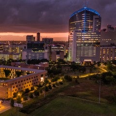 Rice University