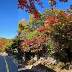 south korea