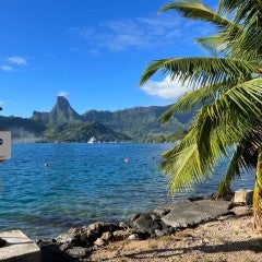 Moorea