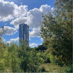 Buffalo Bayou