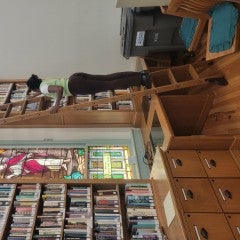 Jae'la in Library