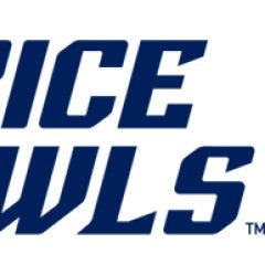Rice Owls