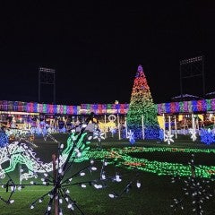 Houston Zoo Lights