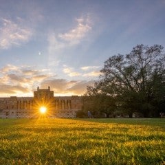 Rice Sunset Picture