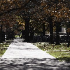 sidewalk on campus with fall leaves behind it
