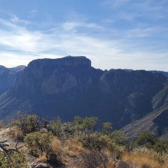 Big Bend National Park. Photo by Bohan Zhang.