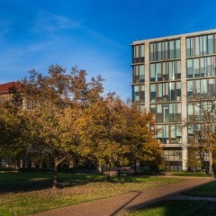 Fall foliage on the Rice University campus. Photo by Sebastian Berrios Carvajal