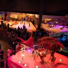 An overhead view of Night at the Museum