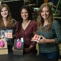 Rice U. students create training device for cervical cancer screening