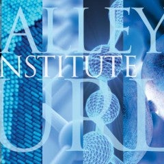 Smalley-Curl awards first STAR graduate research grants