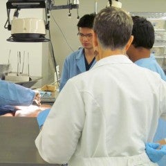 Rice, MD Anderson win $1.8M for nanotech, cancer training
