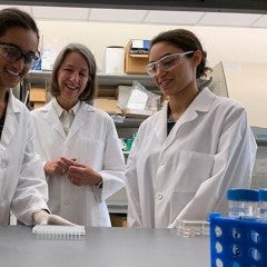 Bioengineers call for scale-up of COVID-19 testing to academic labs