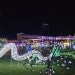 Houston Zoo Lights