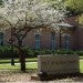 Rice's campus during the Spring