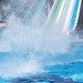 Water Slides