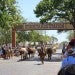 Forth Worth Stockyards. Photo by Bohan Zhang.