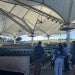 Five masters students visit the Pavilion to create a sustainability plan